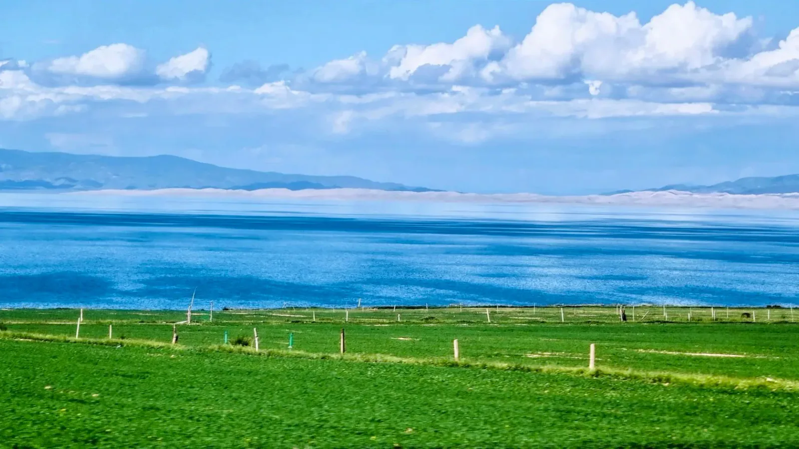青海湖草原湖景
